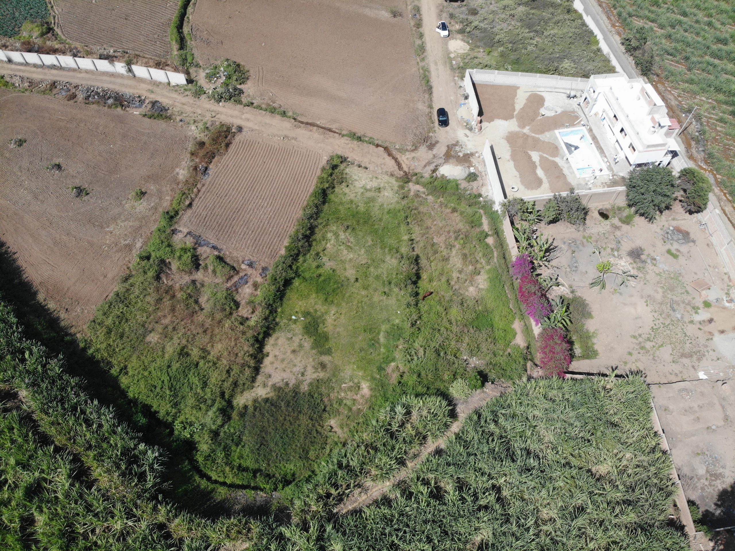 Terreno Agricola Venta Morrope