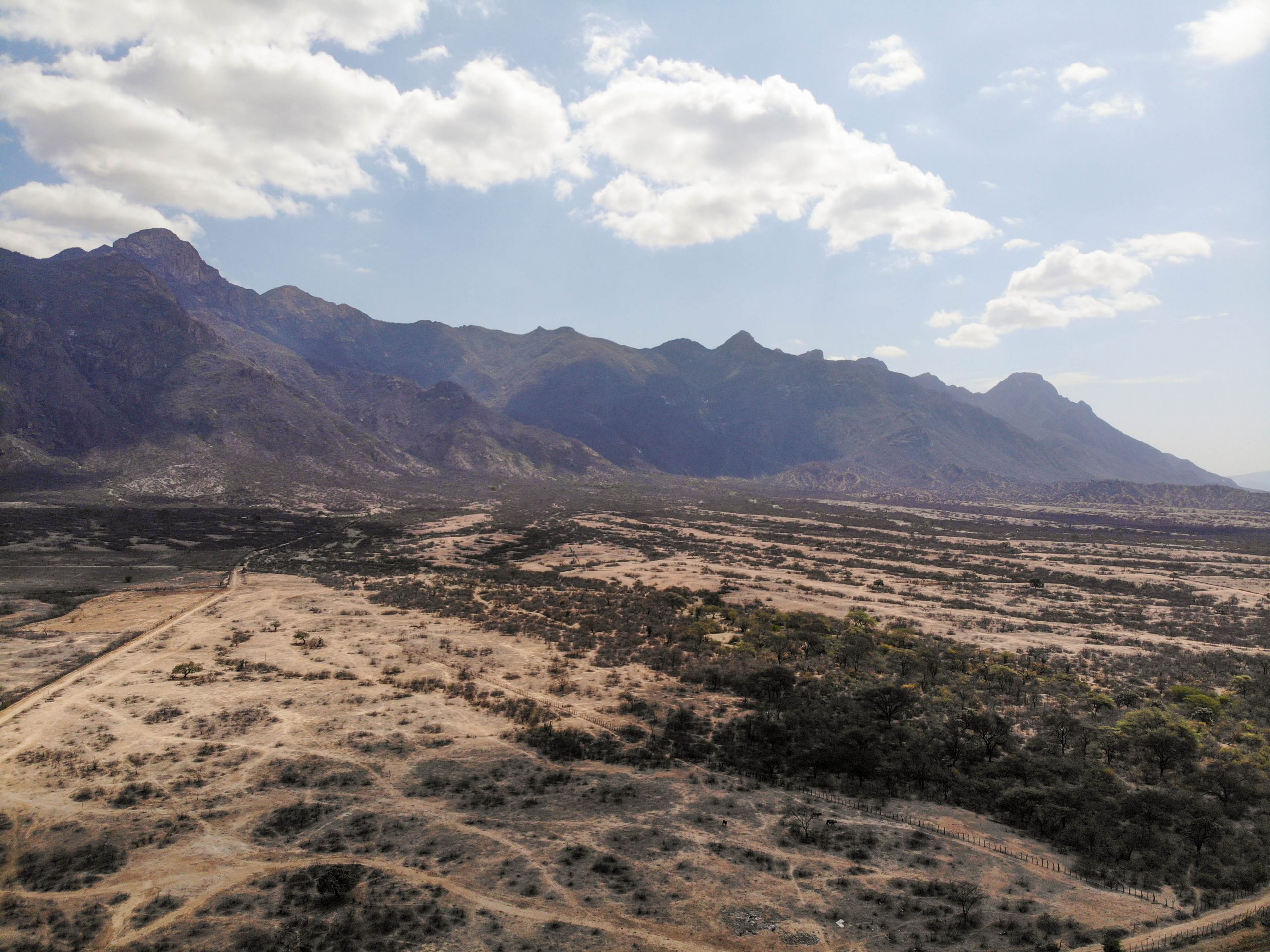 created by dji camera Terreno Agricola Venta Olmos