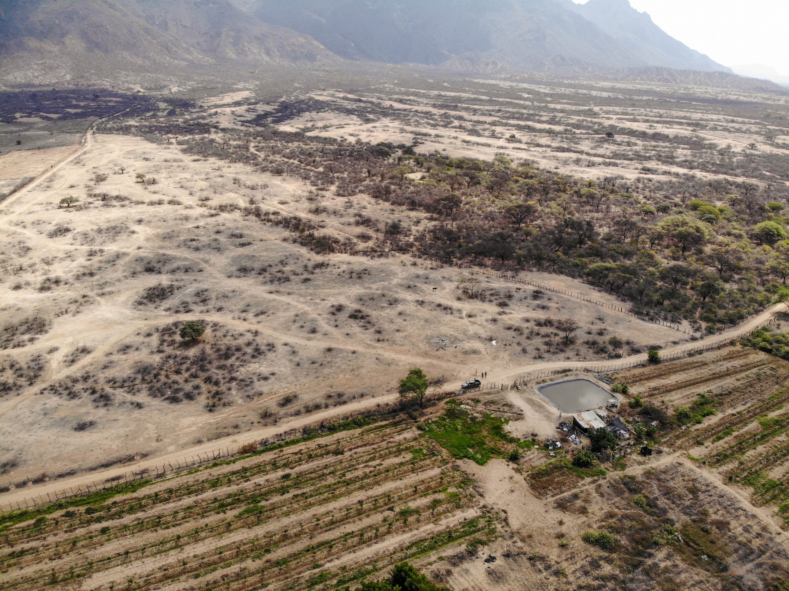 created by dji camera Terreno Agricola Venta Olmos