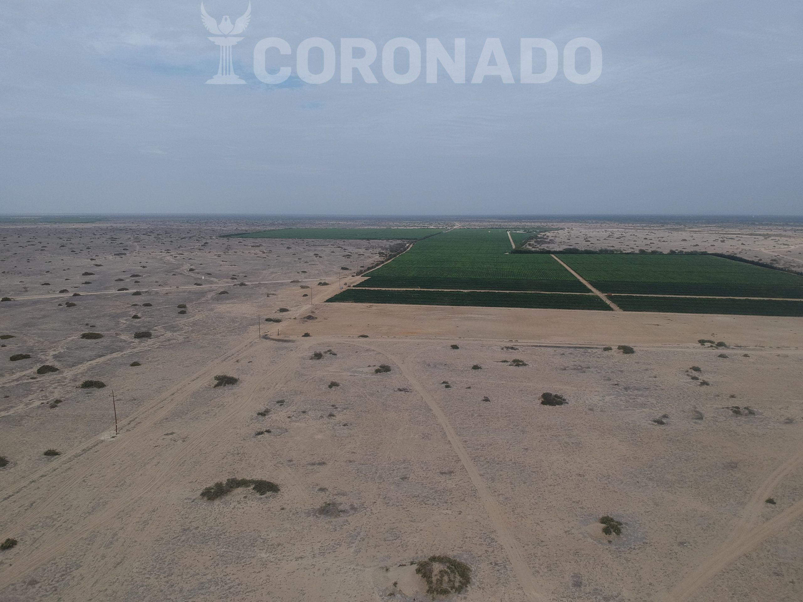 Terreno Agricola Venta Morrope