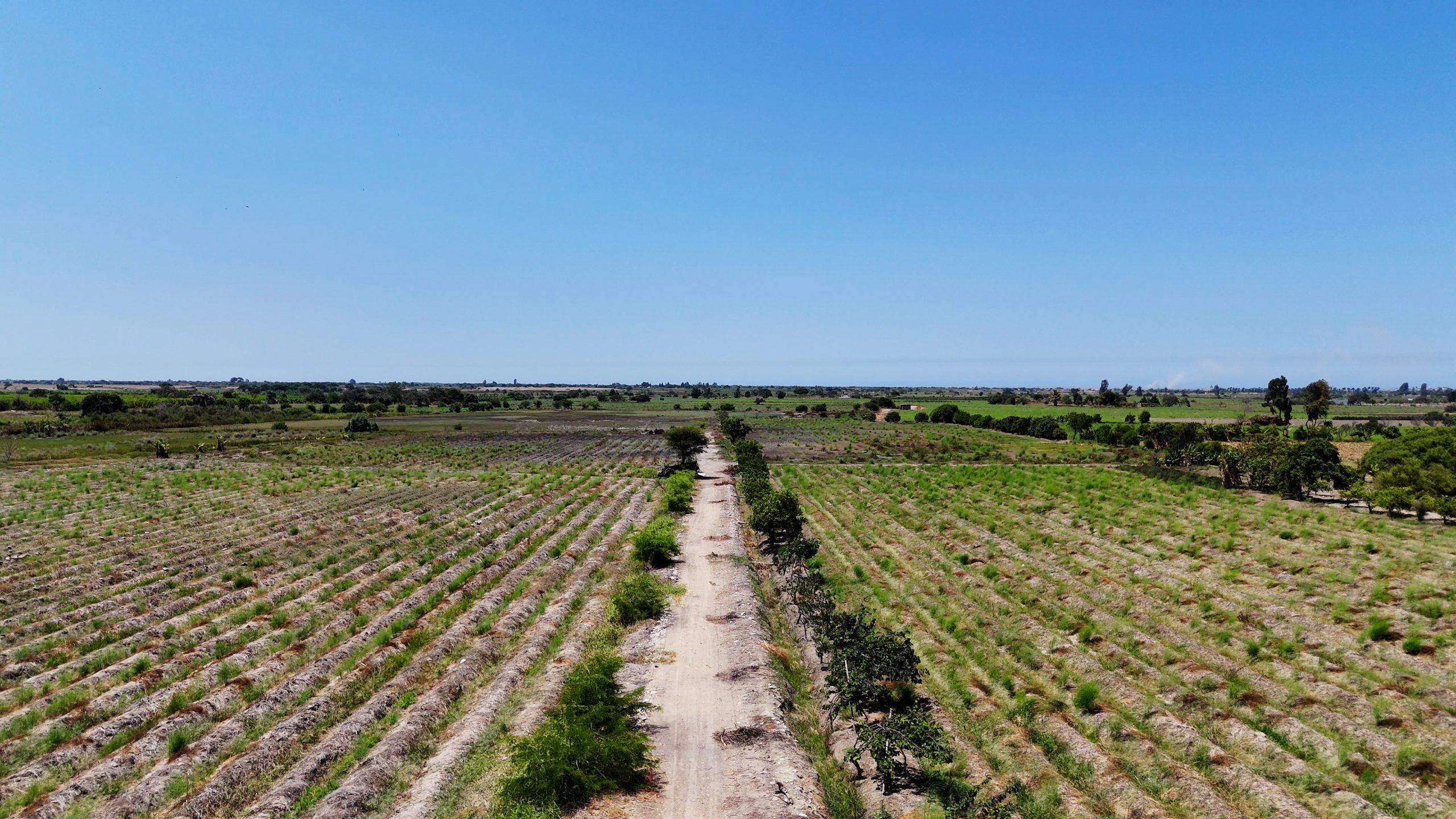 Terreno Agricola Venta Paijan – Macabi Bajo