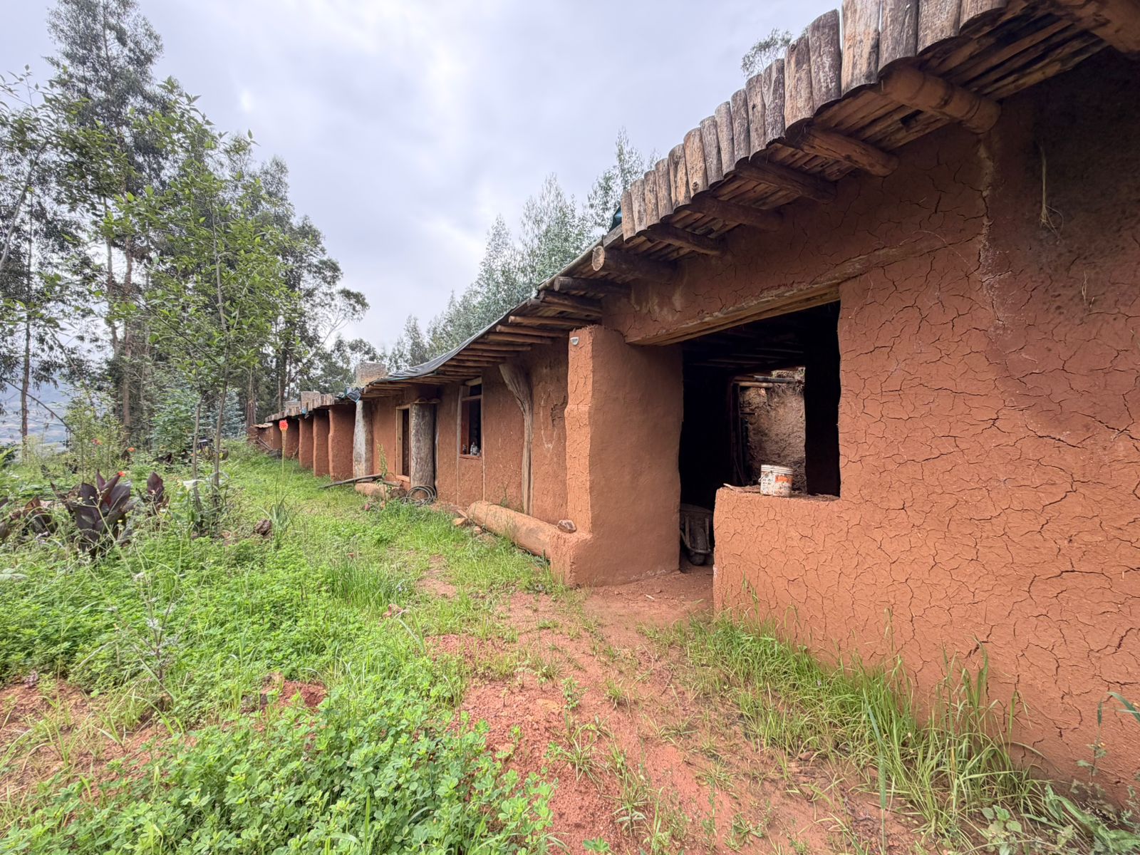e2def7d6-eb8f-443e-944c-90cd5c7f9e1b Casa Venta Residencial en San Marcos Cajamarca